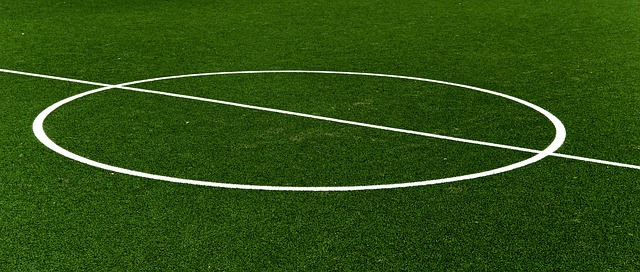 国安vs麦克阿瑟FC首发：塞鸟、张玉宁在列，法比奥替补